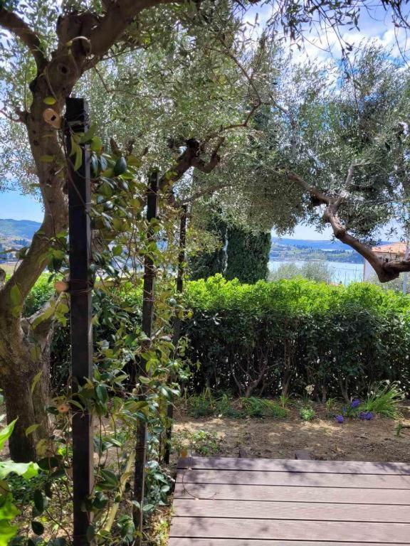 Izabela Apartment Portorož Eksteriør billede